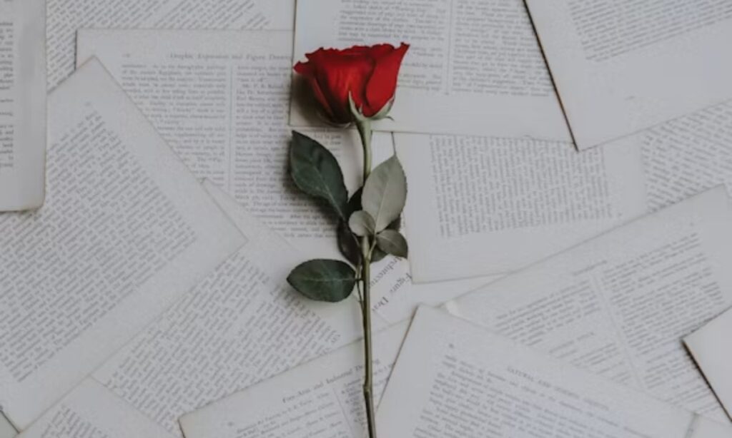 Aesthetic Text
